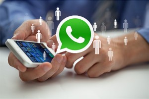 whatsapp business